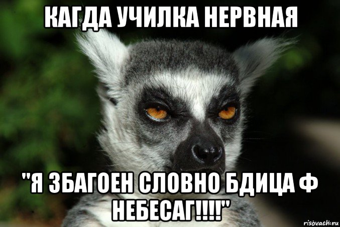 кагда училка нервная "я збагоен словно бдица ф небесаг!!!!", Мем   Я збагоен