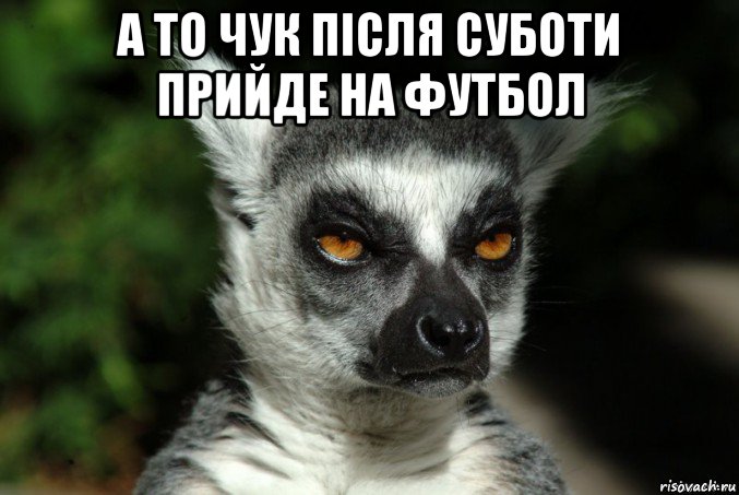 а то чук після суботи прийде на футбол , Мем   Я збагоен