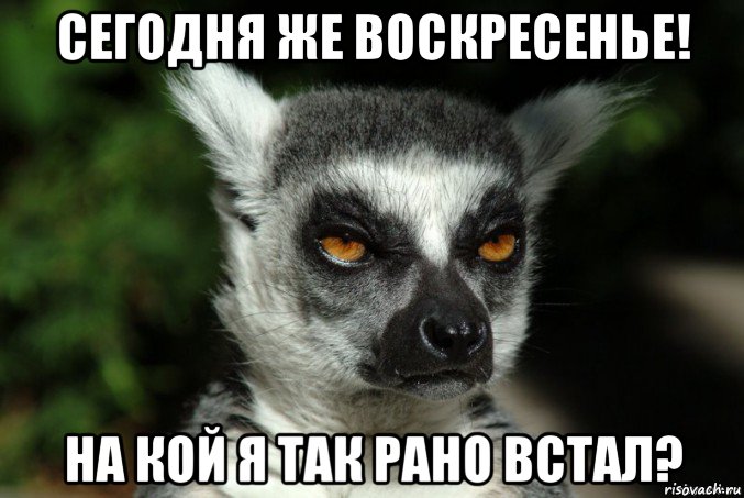 сегодня же воскресенье! на кой я так рано встал?, Мем   Я збагоен