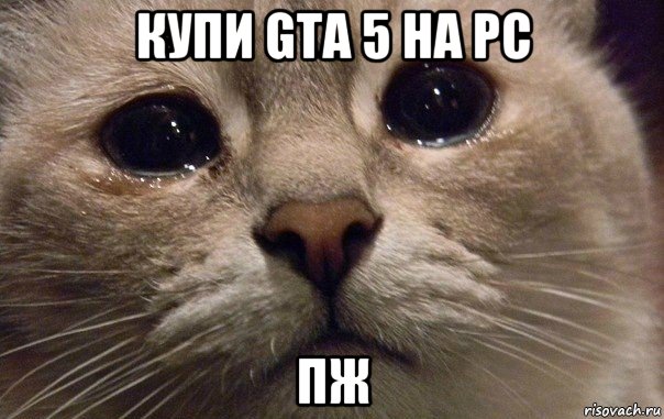 купи gta 5 на pc пж, Мем   В мире грустит один котик