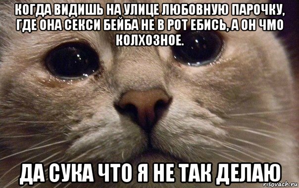 когда видишь на улице любовную парочку, где она секси бейба не в рот ебись, а он чмо колхозное. да сука что я не так делаю, Мем   В мире грустит один котик