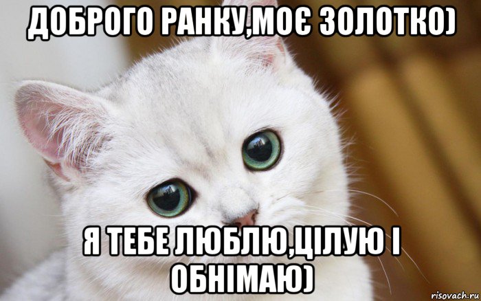 доброго ранку,моє золотко) я тебе люблю,цілую і обнімаю), Мем  В мире грустит один котик