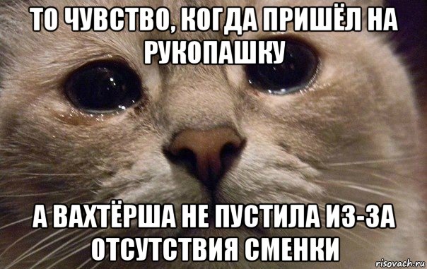 то чувство, когда пришёл на рукопашку а вахтёрша не пустила из-за отсутствия сменки, Мем   В мире грустит один котик