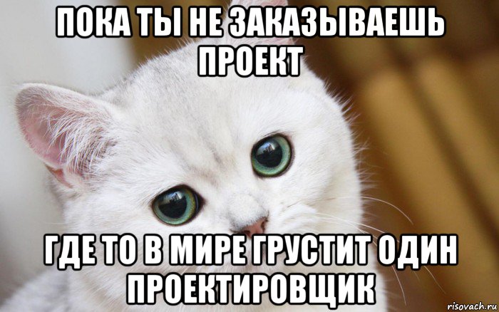 пока ты не заказываешь проект где то в мире грустит один проектировщик, Мем  В мире грустит один котик