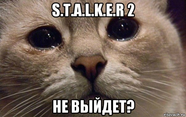 s.t.a.l.k.e.r 2 не выйдет?, Мем   В мире грустит один котик