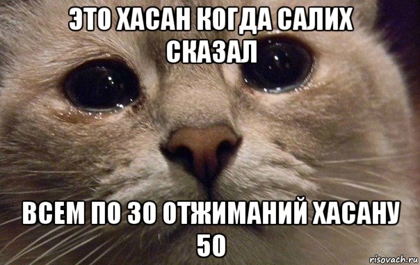 это хасан когда салих сказал всем по 30 отжиманий хасану 50, Мем   В мире грустит один котик