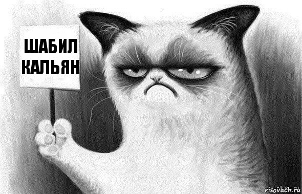шабил кальян, Комикс Угрюмый кот с табличкой