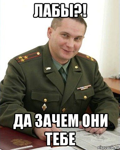 лабы?! да зачем они тебе, Мем Военком (полковник)