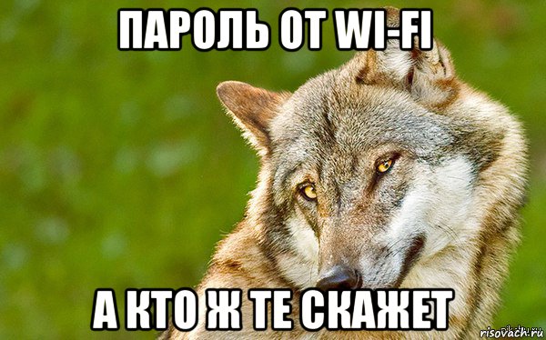 пароль от wi-fi а кто ж те скажет