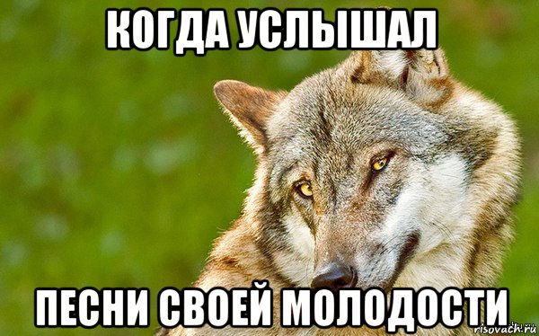 когда услышал песни своей молодости, Мем   Volf