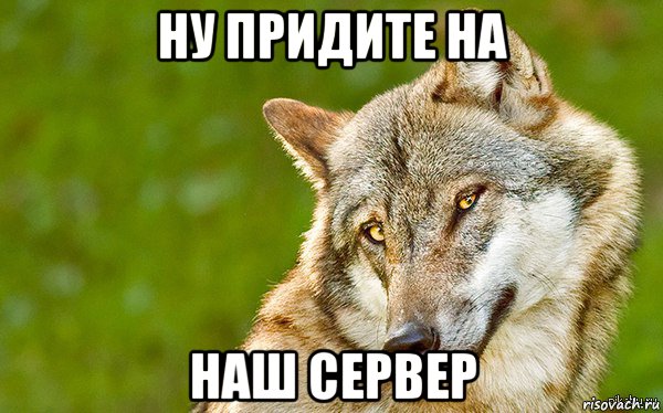 ну придите на наш сервер, Мем   Volf