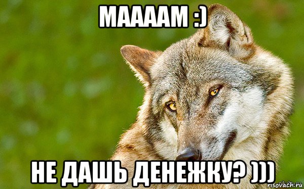 маааам :) не дашь денежку? ))), Мем   Volf