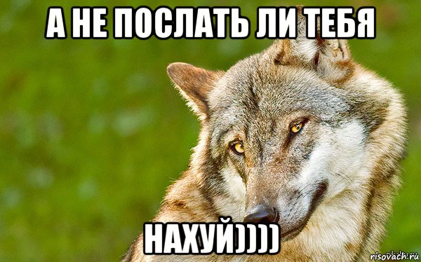 а не послать ли тебя нахуй)))), Мем   Volf