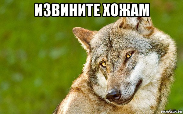 извините хожам , Мем   Volf