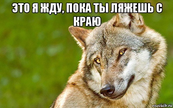 это я жду, пока ты ляжешь с краю , Мем   Volf