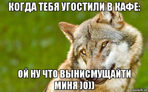 когда тебя угостили в кафе: ой ну что вынисмущайти миня )0)), Мем   Volf