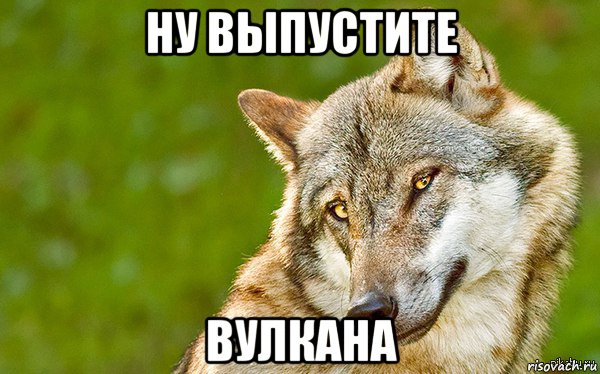 ну выпустите вулкана, Мем   Volf