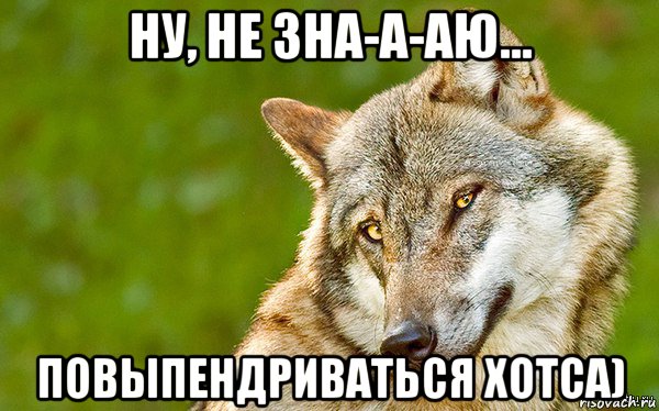 ну, не зна-а-аю... повыпендриваться хотса), Мем   Volf