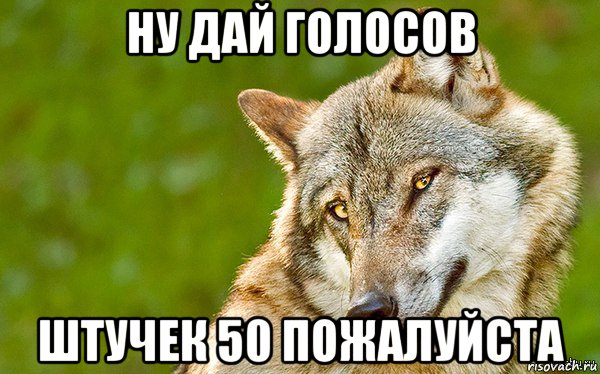 ну дай голосов штучек 50 пожалуйста