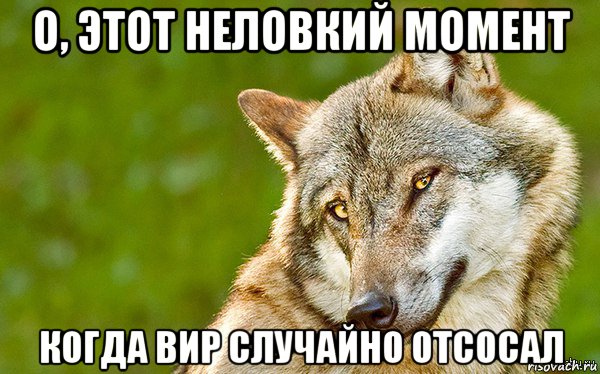 о, этот неловкий момент когда вир случайно отсосал, Мем   Volf