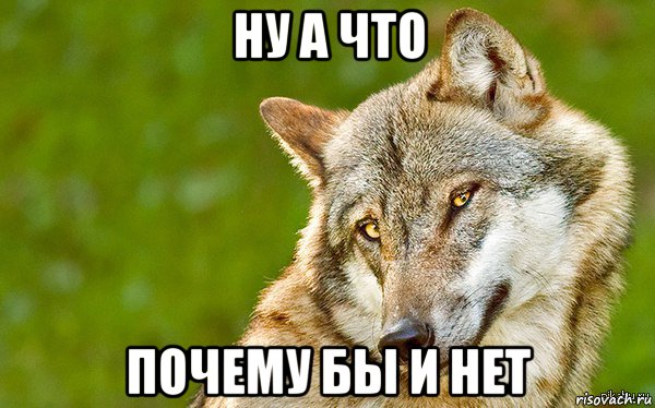 ну а что почему бы и нет, Мем   Volf