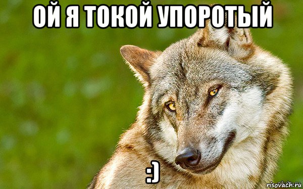 ой я токой упоротый :), Мем   Volf