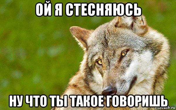 ой я стесняюсь ну что ты такое говоришь, Мем   Volf