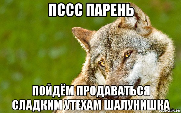 пссс парень пойдём продаваться сладким утехам шалунишка, Мем   Volf