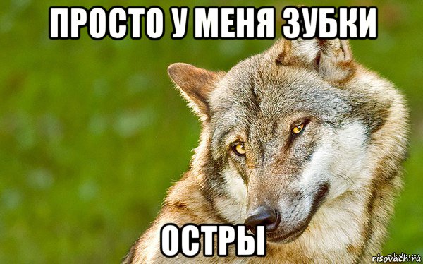 просто у меня зубки остры, Мем   Volf