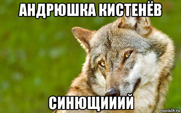 андрюшка кистенёв синющииий, Мем   Volf