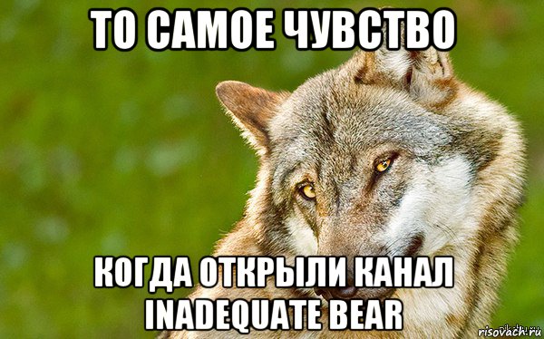 то самое чувство когда открыли канал inadequate bear, Мем   Volf