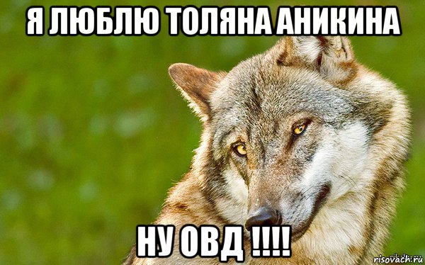 я люблю толяна аникина ну овд !!!!, Мем   Volf