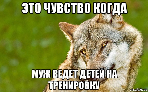 это чувство когда муж ведет детей на тренировку, Мем   Volf