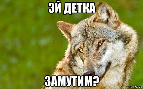 эй детка замутим?, Мем   Volf