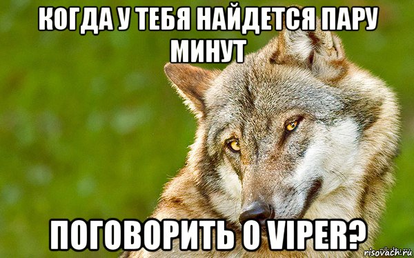 когда у тебя найдется пару минут поговорить о viper?, Мем   Volf