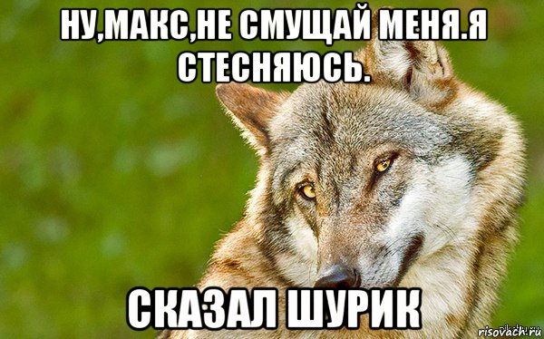 ну,макс,не смущай меня.я стесняюсь. сказал шурик, Мем   Volf