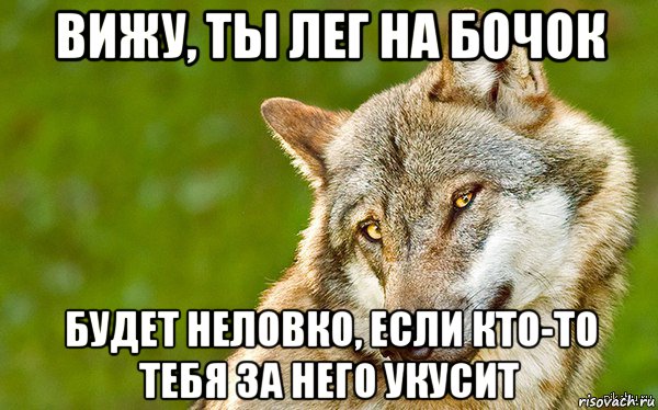 вижу, ты лег на бочок будет неловко, если кто-то тебя за него укусит, Мем   Volf