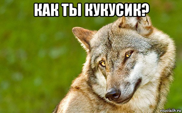 как ты кукусик? 