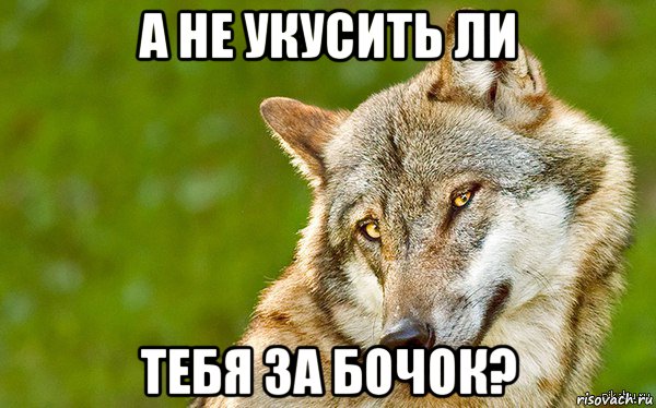 а не укусить ли тебя за бочок?, Мем   Volf