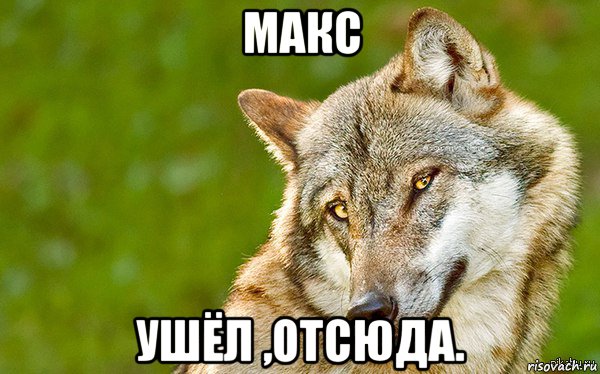 макс ушёл ,отсюда., Мем   Volf