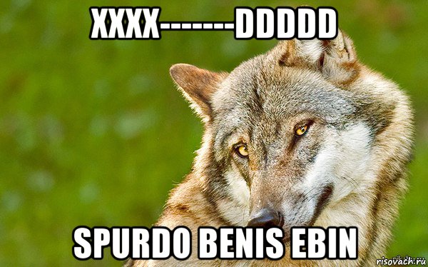 xxxx-------ddddd spurdo benis ebin