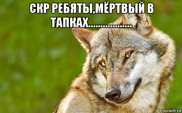 скр ребяты,мёртвый в тапках.................. , Мем   Volf