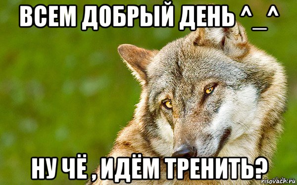 всем добрый день ^_^ ну чё , идём тренить?, Мем   Volf