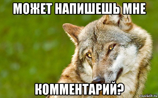 может напишешь мне комментарий?, Мем   Volf