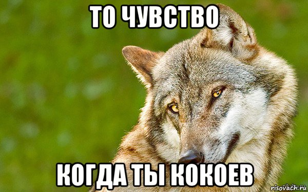 то чувство когда ты кокоев