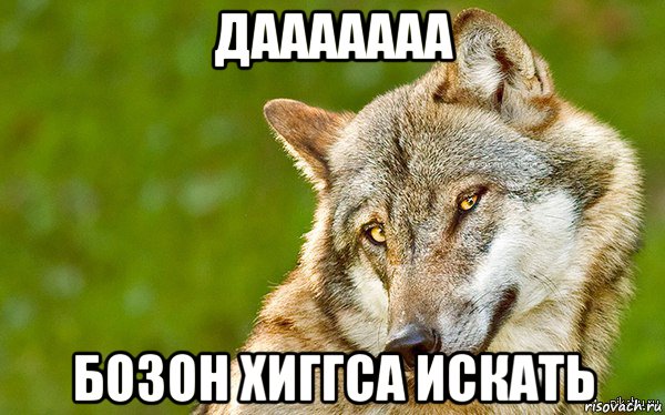 дааааааа бозон хиггса искать, Мем   Volf