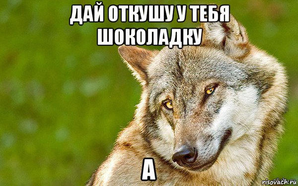 дай откушу у тебя шоколадку а, Мем   Volf