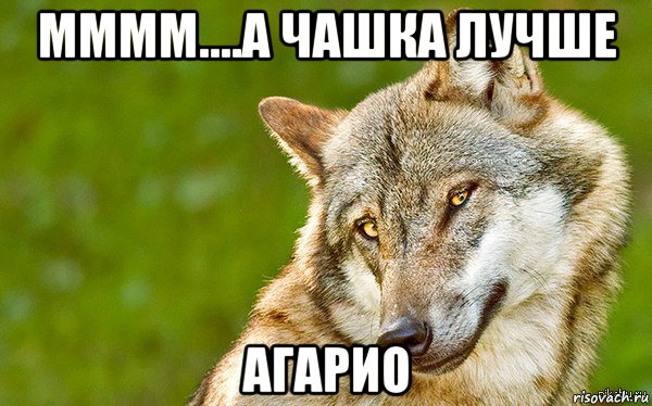 мммм....а чашка лучше агарио, Мем   Volf