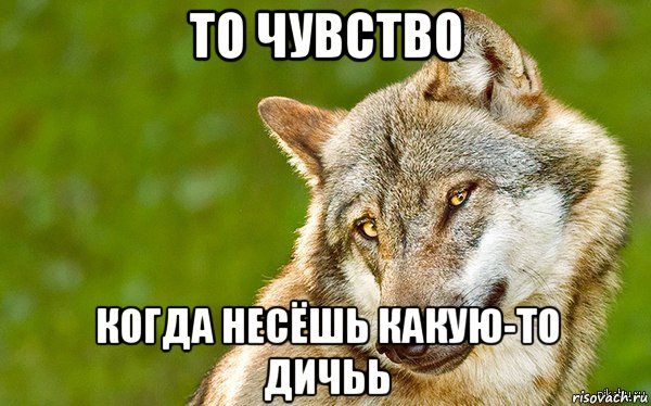 то чувство когда несёшь какую-то дичьь, Мем   Volf