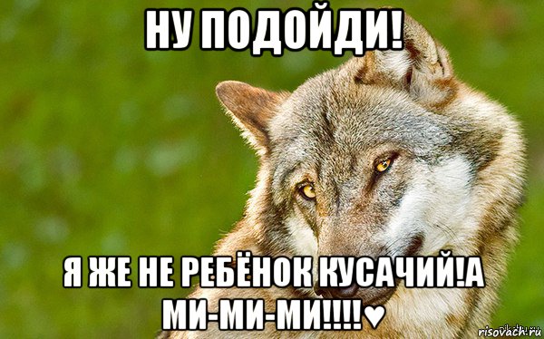 ну подойди! я же не ребёнок кусачий!а ми-ми-ми!!!!♥, Мем   Volf